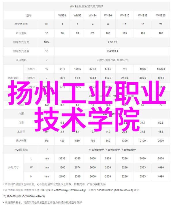 智慧的鸿沟探索倍智人才测评的反差之谜