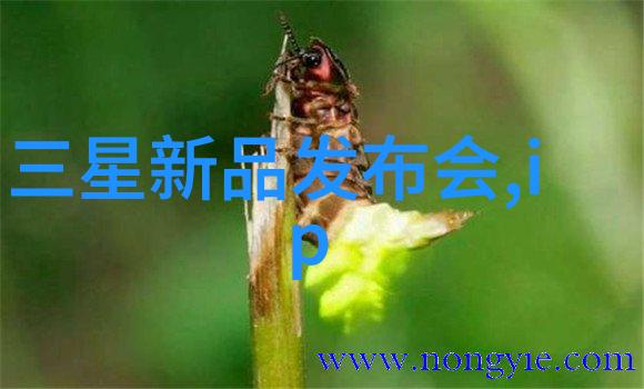 旧有变新探索回收工厂如何将废弃设备转化为资源宝库