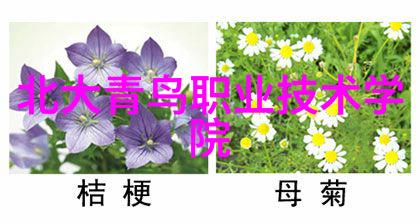 智能手表功能全开不仅时尚还能帮你做饭