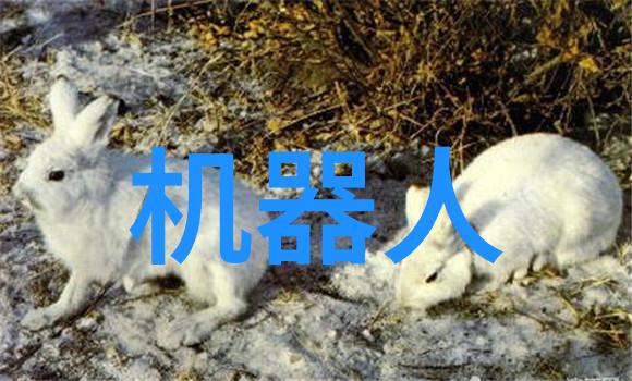时光的礼赞爱你是我最好的时光