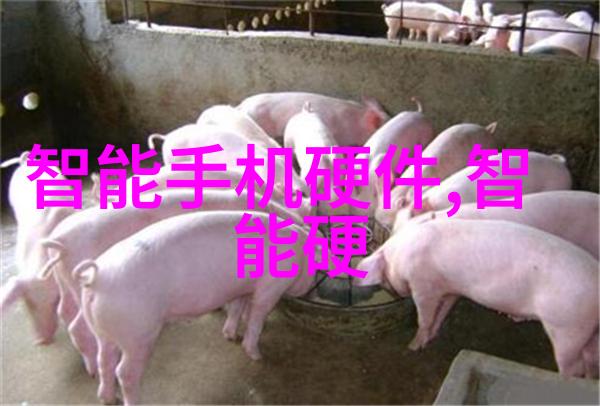 花火动漫无删减-夏日祭典肩并肩观赏花火尽情享受动漫无限魅力