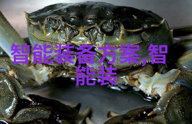 炮灸秘籍揭秘传统中医火疗法的艺术与科学