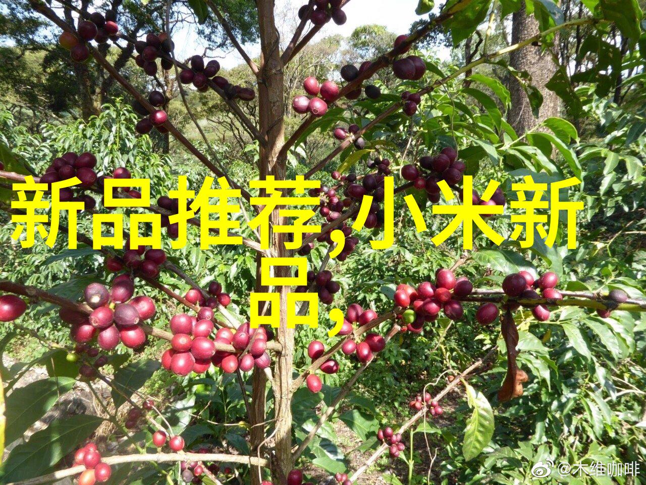 智能流线自动化输送设备革新物流效率的关键