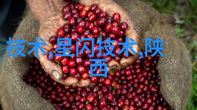 东微半导体估值分析深度市场评估与未来增长潜力探讨