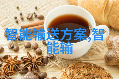 如何确保智能輸送计划符合社会经济发展需求