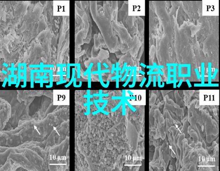 高速离心机高效分离技术的前沿者