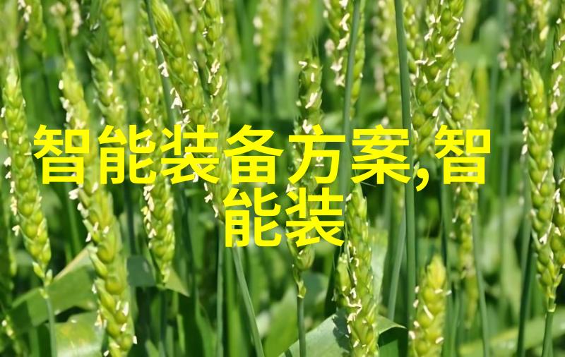 信息技术革命如何赋能未来社会的发展
