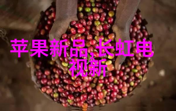 星闪技术点亮安徽电子信息职业技术学院的智慧之光共创快捷稳定的未来世界