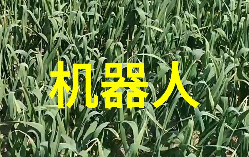 平天策 小说-诸天之巅平天策的觉醒