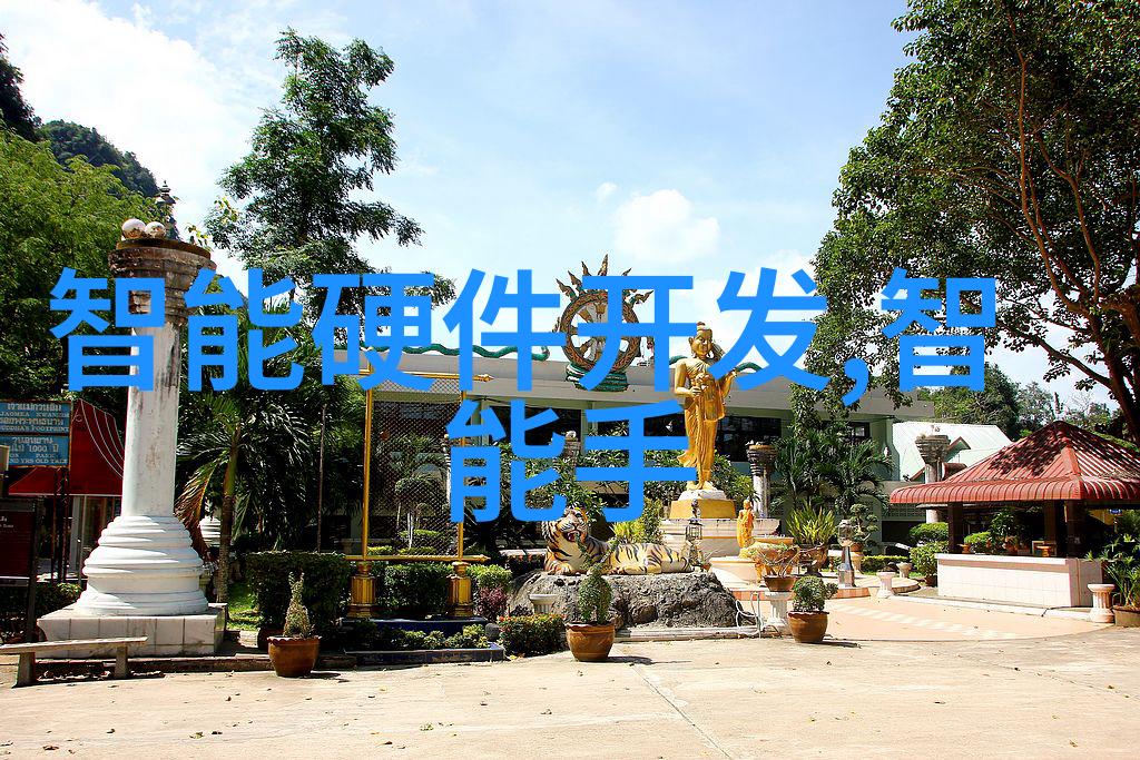 芯片大腕武汉十强揭秘