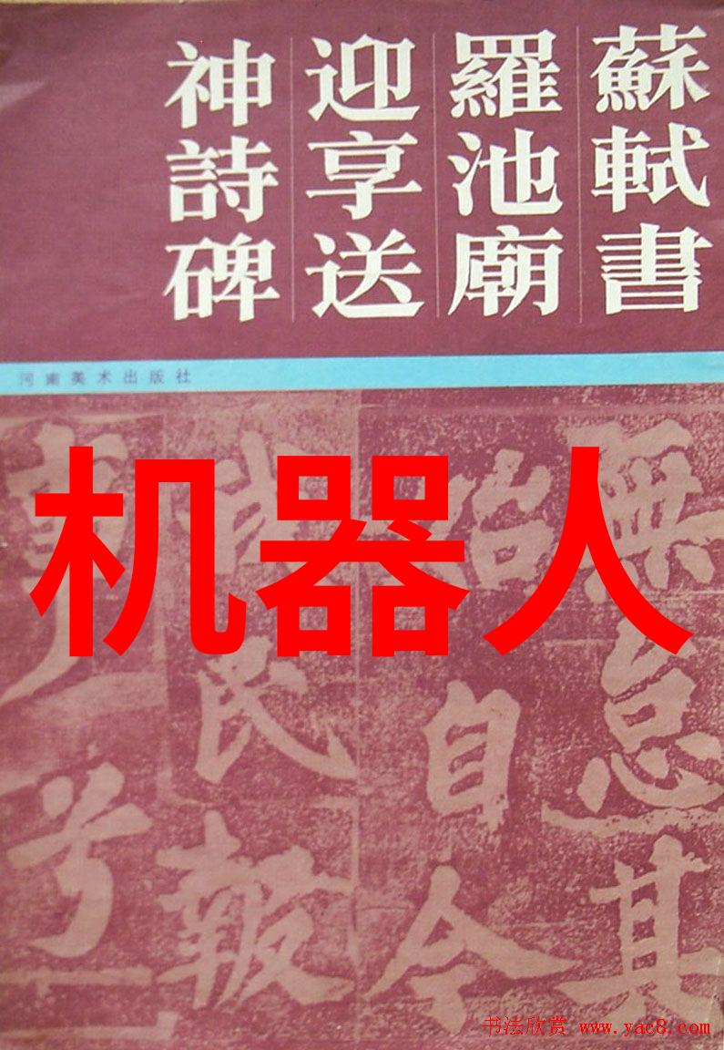 微小奇迹揭秘芯片的精密制造与内在力量