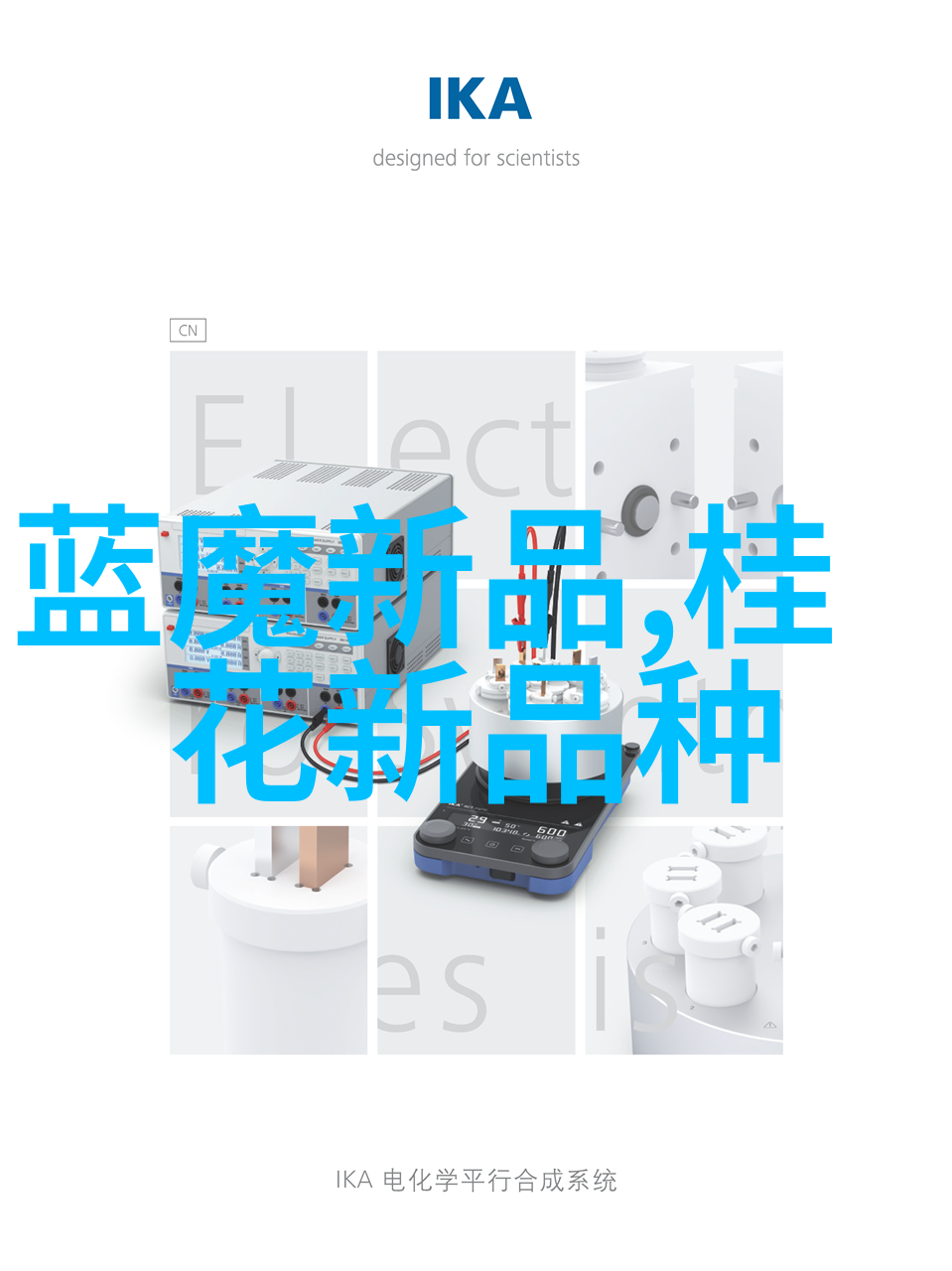 换向的爱恋逆袭的情感篇章