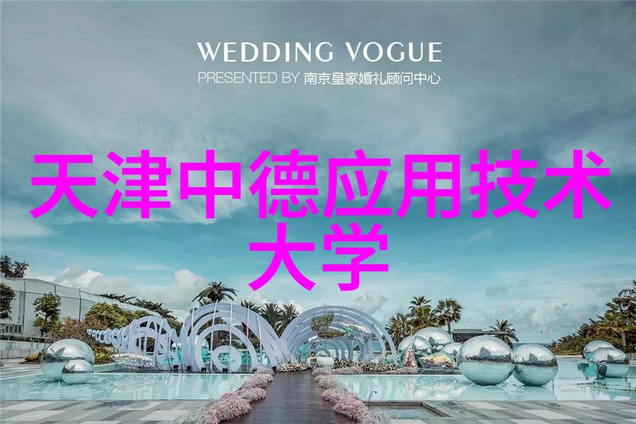 丸剂机械自动化生产线高效精密的药品制造系统