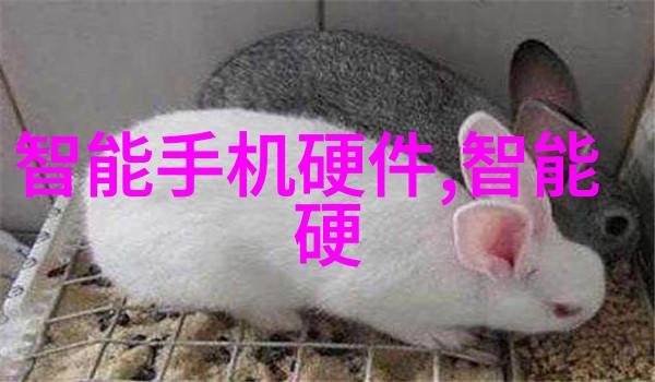 上海交大招生办深度解读揭秘最新高考录取政策与招生动态