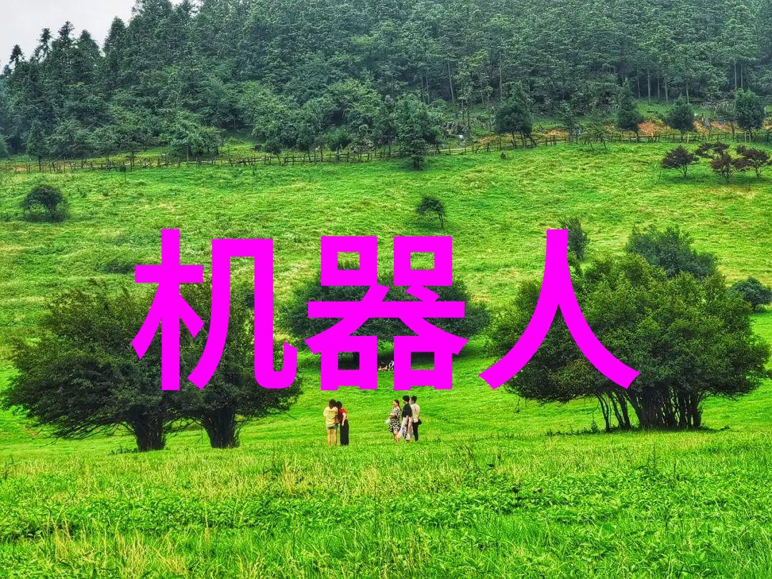 山东财经大学承载梦想的智慧殿堂