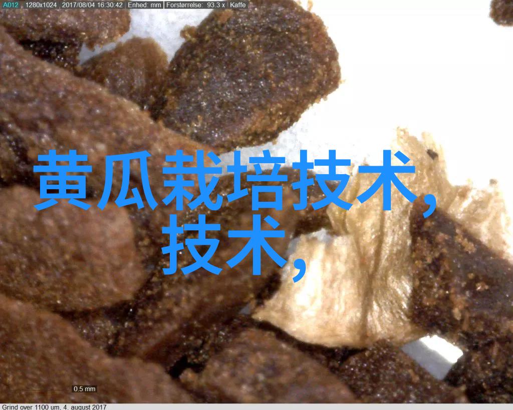 粉碎机之舞破碎与重铸的交响曲