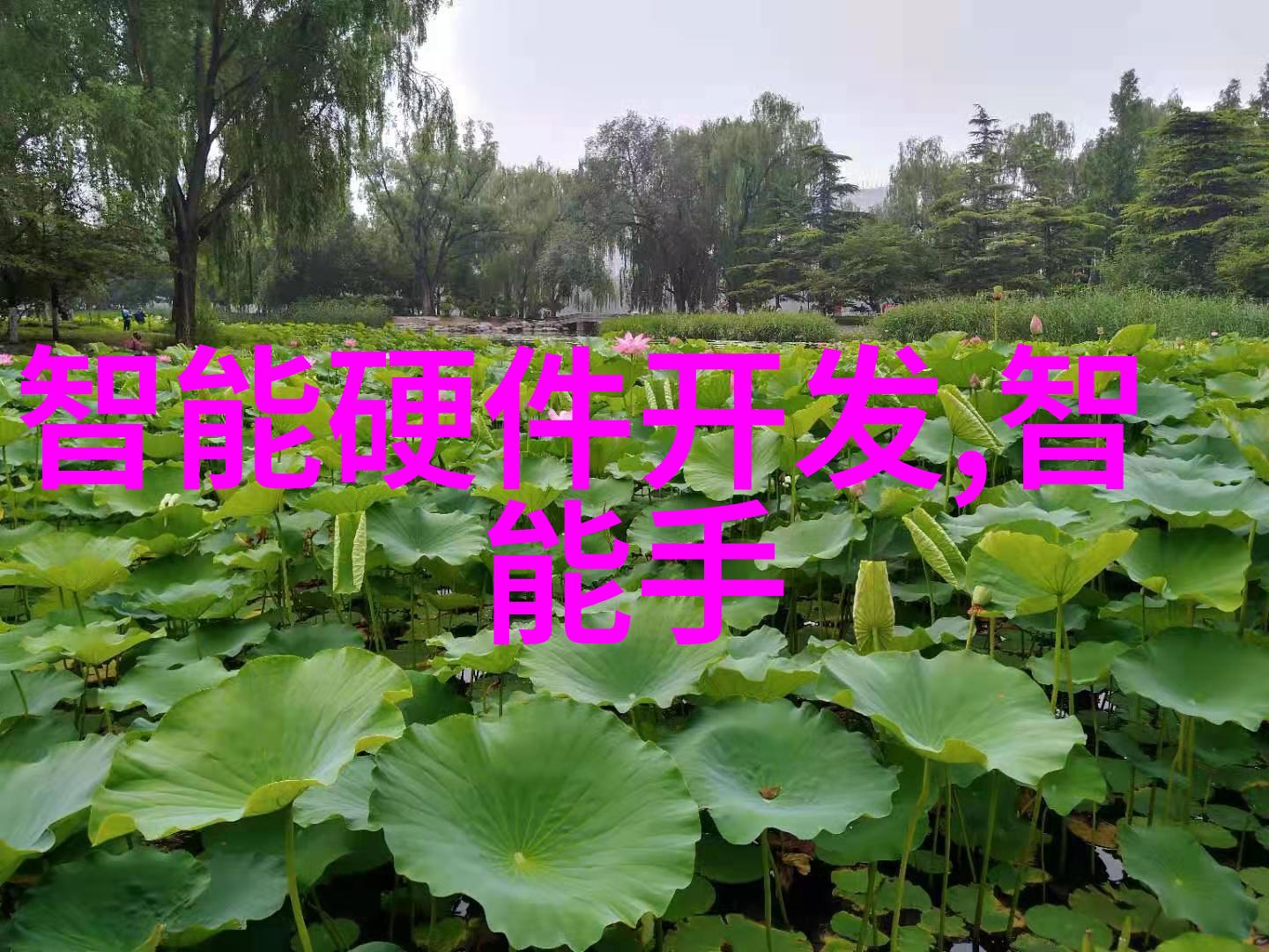 市场心理因素在上证指数实时交易中的作用探讨