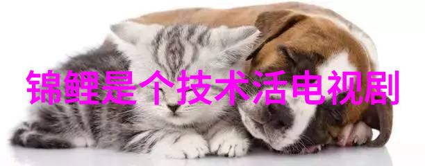 医学认可-血压手环的医学应用及准确性探讨