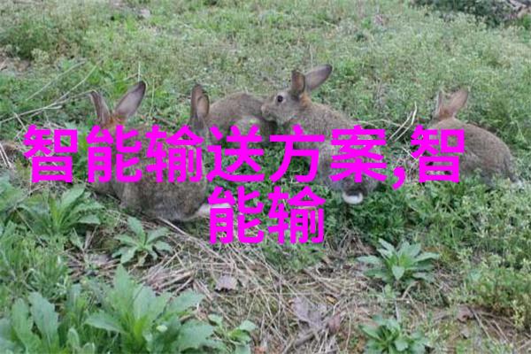 扬州财经学府砥砺前行的金色足迹