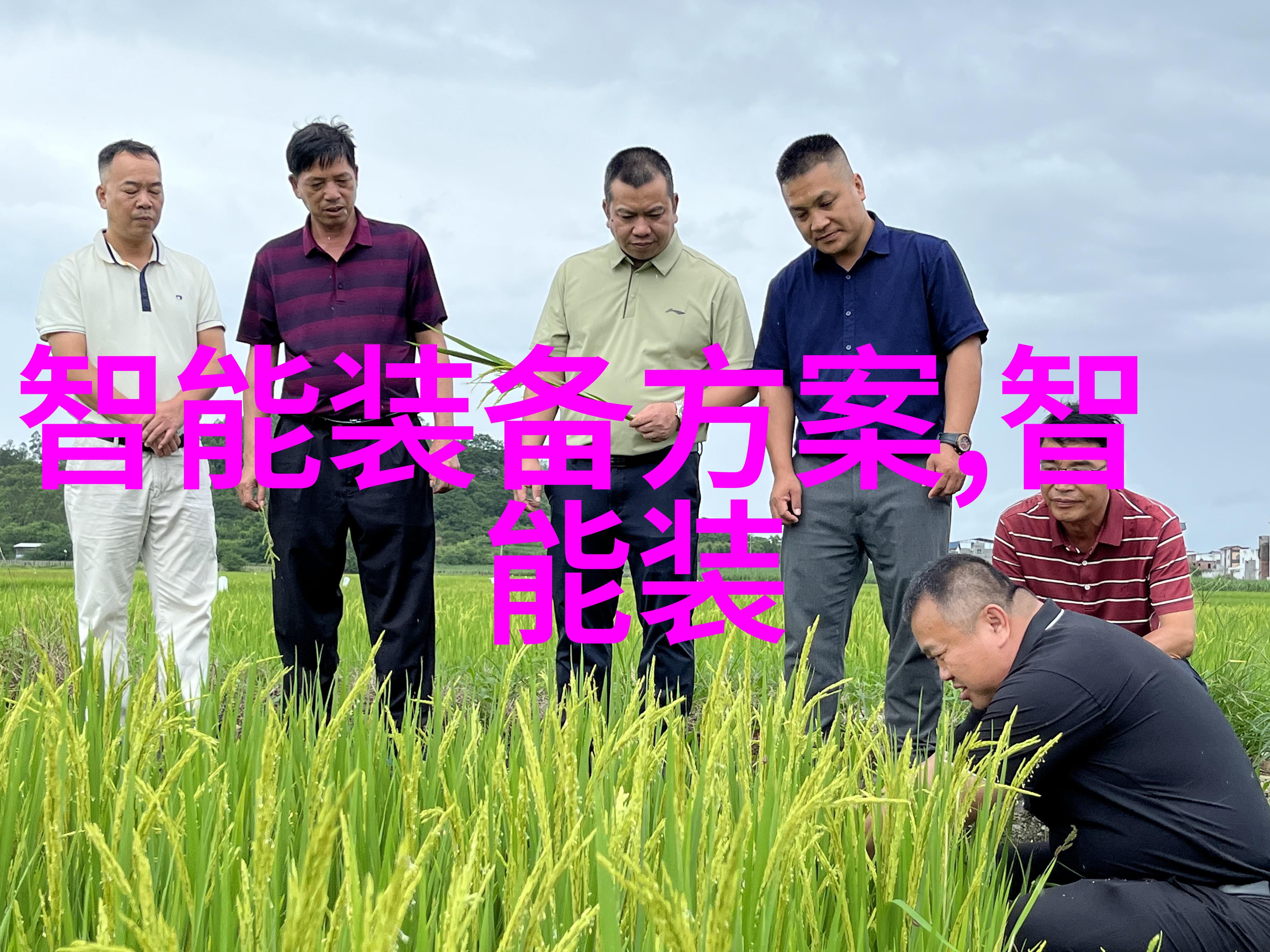 齿轮油泵的秘密隐藏在机械心脏里的未解之谜