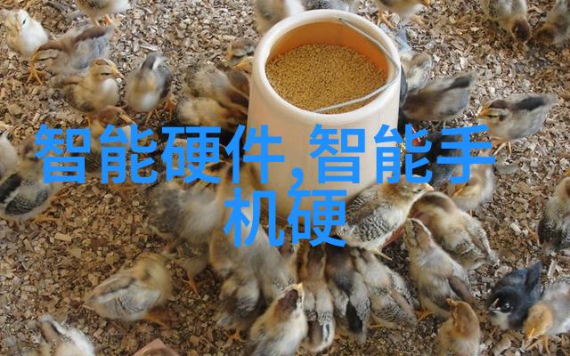 夏日摄影捕捉美好瞬间的艺术与技巧