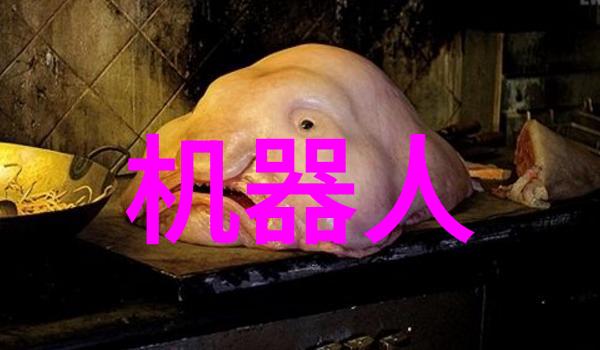 新品上市推广水浸报警器厨房洗手间漏溢监测之双重防御方案