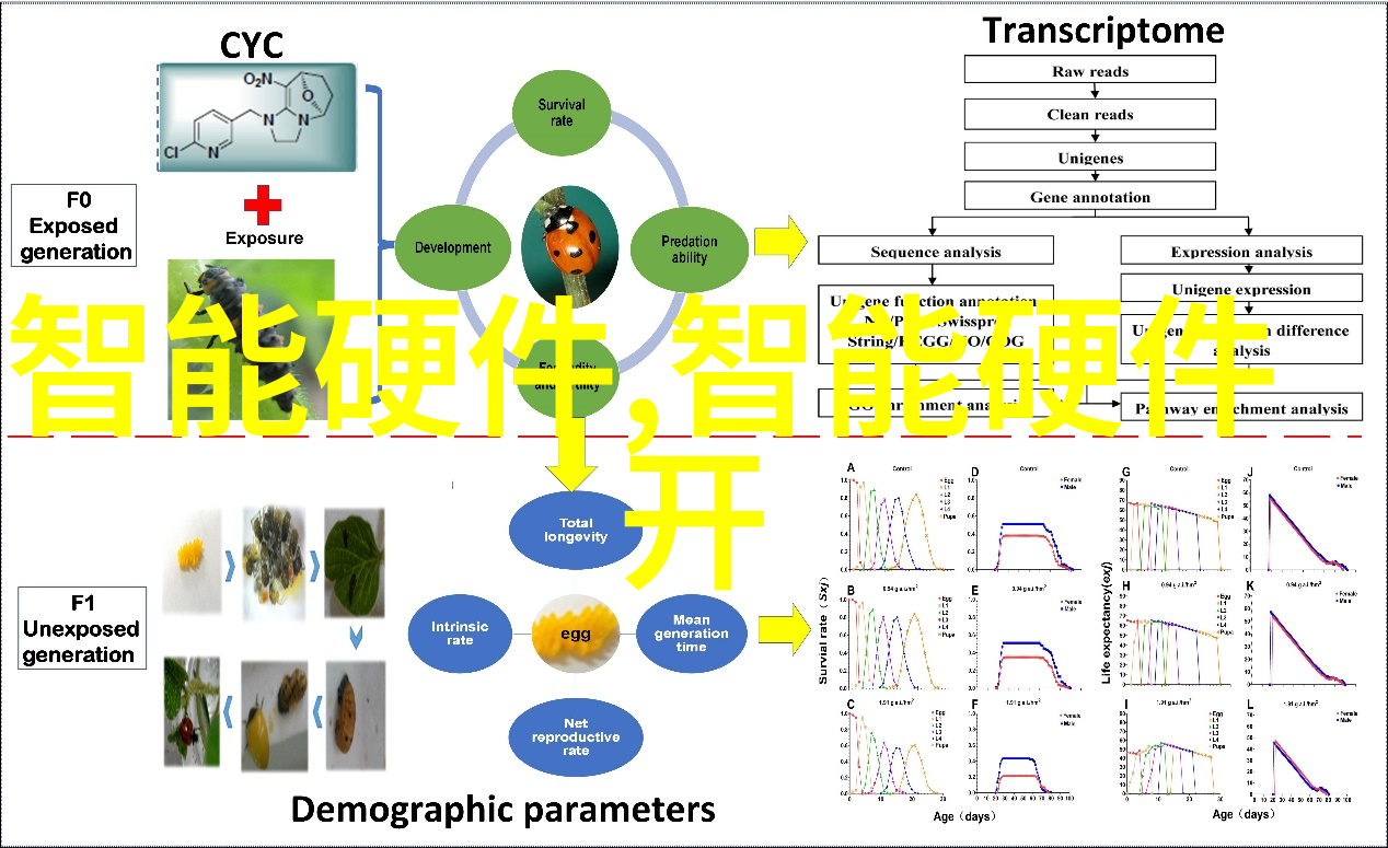 管道尺寸标准规格表确保工程质量与安全的关键参考资料
