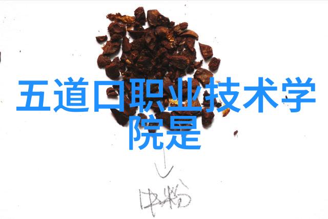 武汉职业技术学院我在这所学校的日子总是充满了挑战与机遇