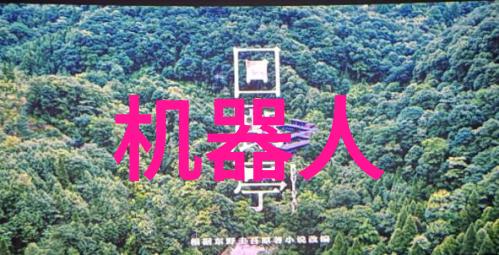 水洗机技术革新如何提高食品加工效率