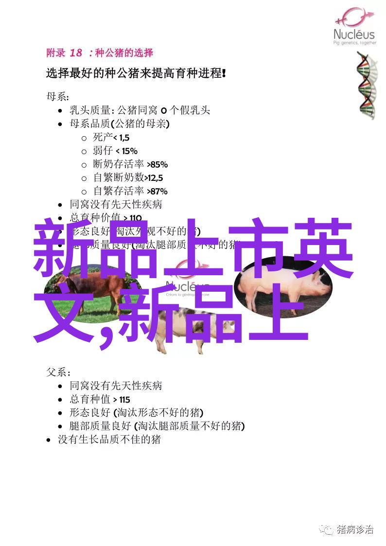 不锈钢管生产厂家的技术与管理研究从原料选择到产品完善