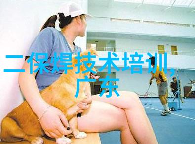 小型蒸汽发生器的应用与设计简介