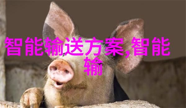 沈席玉宋妧小说免费阅读 - 梦幻世界的无限阅读之旅