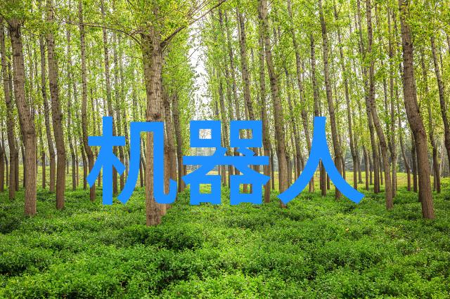 科技伴侣智慧手环的便利与意义探索