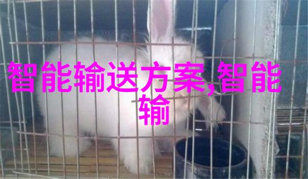 PVC管材的选择与应用了解不同型号和口径的优势