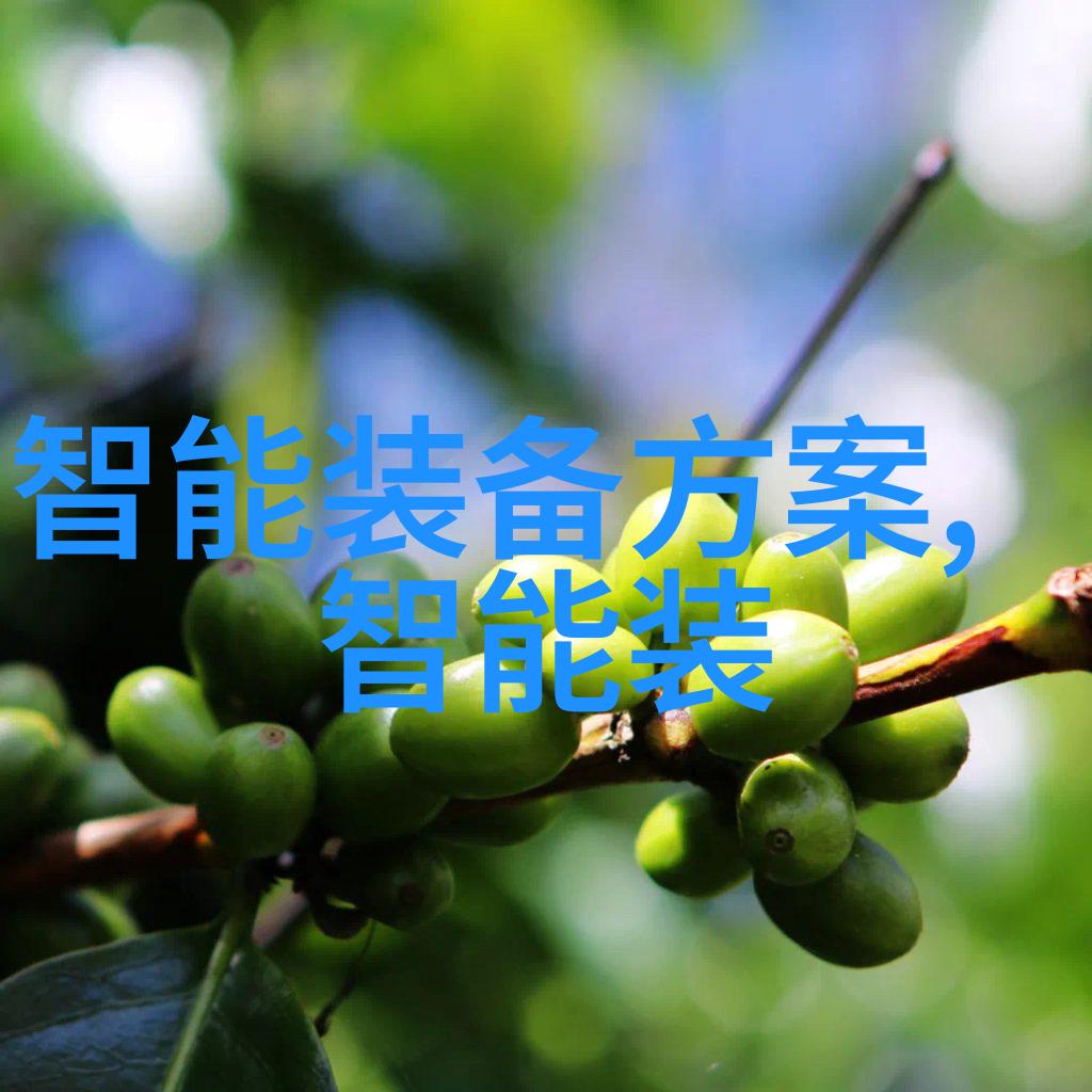 大盘之谜上证指数背后的秘密