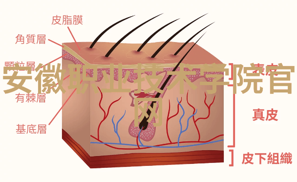 不锈钢波纹板填料在工程领域的多种用途