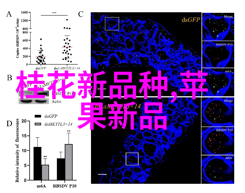现代室内设计趋势光滑玻璃面板的多功能性展示
