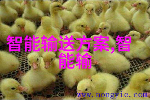 中国化工装备绿色科技的新篇章