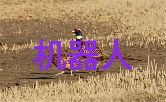 学府财经智慧的钱塘