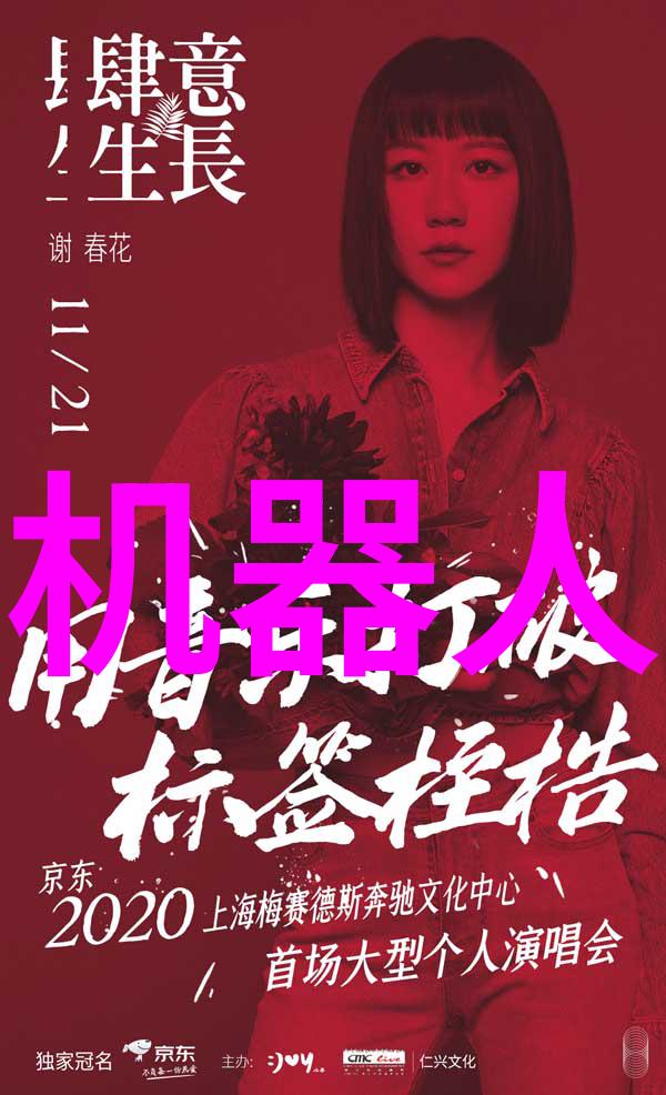 华为新篇章闪耀双星登场