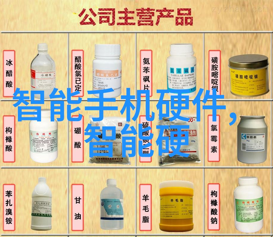 稳中求进2024年政府工作报告解读与项目资金申请报告相融的财富之旅