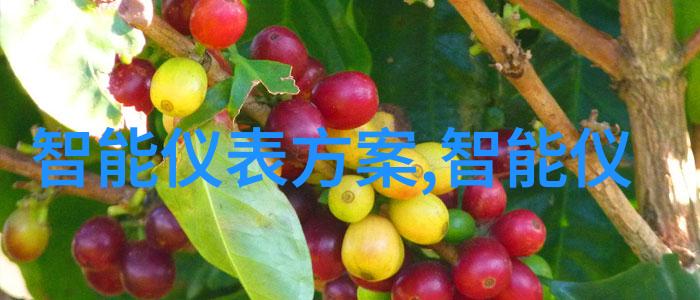 新乡鹏鼎无轴砂浆颗粒输送设备提升机