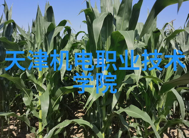 方钢管构建坚固的基础探索建筑与制造中的方钢管应用