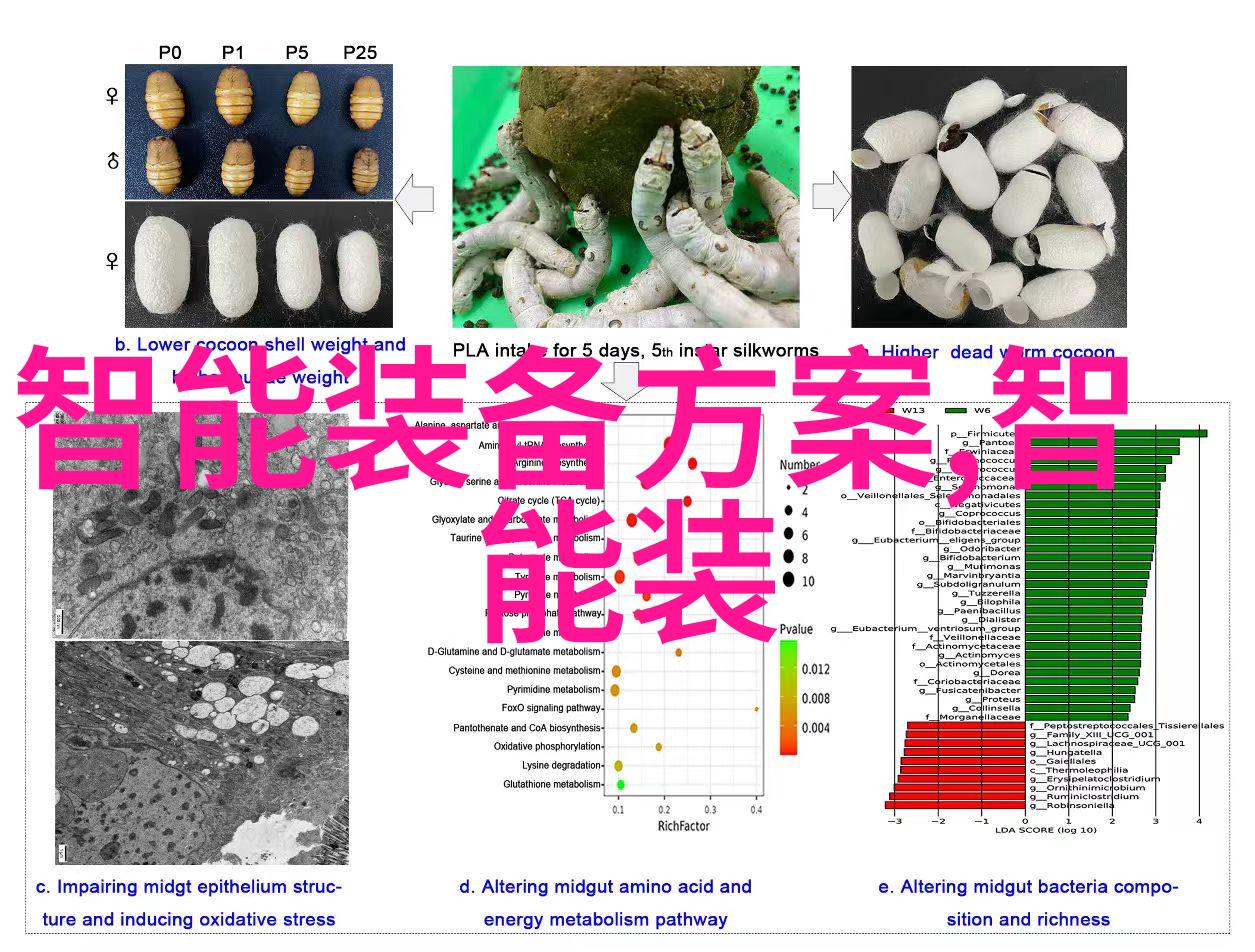 燃气蒸汽之谜1吨的秘密