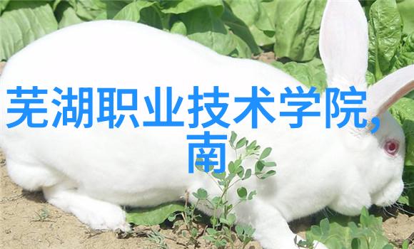 化工行业最新动态中国化工行情网深度解析市场趋势与投资机会
