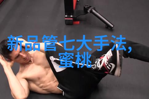 电热蒸汽发生器的工作原理与应用概述