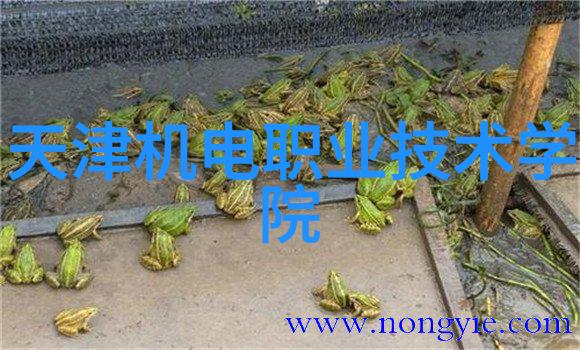 化学药品包装设备的创新发展与安全应用
