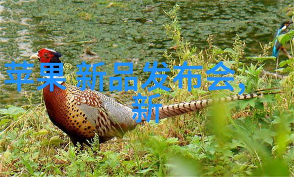 十二生肖守护神唐家三少-流星划破夜空唐家三少与十二生肖的奇遇