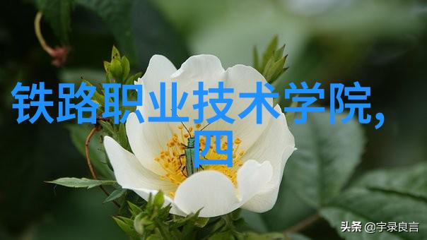 无限可能探索不同形状的自制不锈钢工艺品