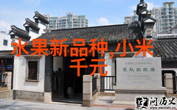 芯片是什么微型电子奇迹的探秘